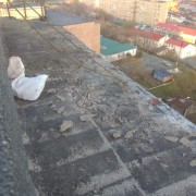 ������ �� ������� ������ �� �������� �������� � 3 ����-������